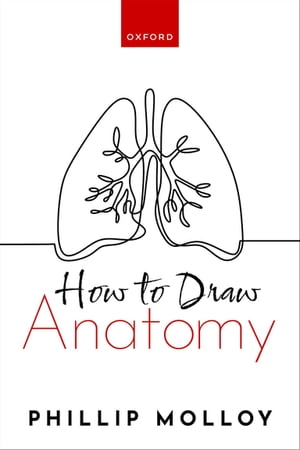 How To Draw Anatomy