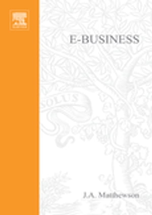 e-Business - A Jargon-Free Practical Guide