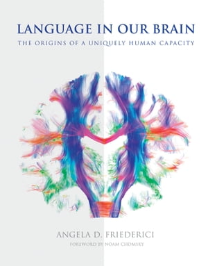 Language in Our Brain The Origins of a Uniquely Human Capacity