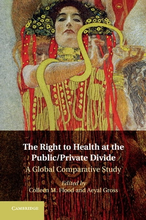 The Right to Health at the Public/Private Divide