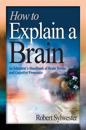 How to Explain a Brain