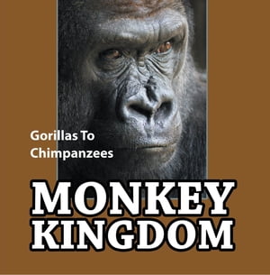 Monkey Kingdom: Gorillas To Chimpanzees