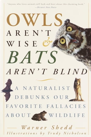 Owls Aren't Wise & Bats Aren't Blind A Naturalist Debunks Our Favorite Fallacies About Wildlife