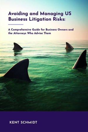 Avoiding and Managing Us Business Litigation Risks A Comprehensive Guide for Business Owners and the Attorneys Who Advise Them