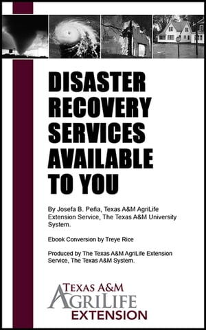Disaster Recovery Services Available to You