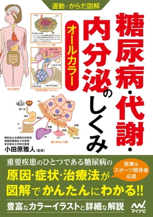 運動・からだ図解 糖尿病・代謝・内分泌のしくみ【電子書籍】[ マイナビ出版編集部 ]