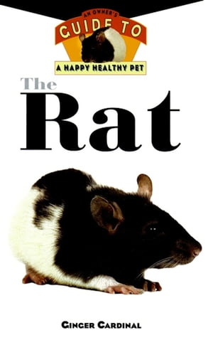 The Rat