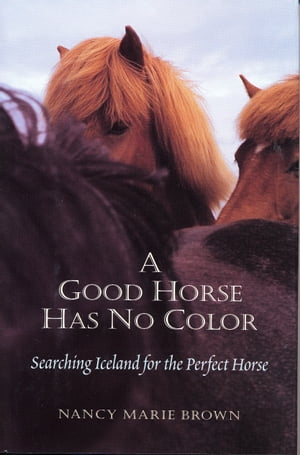 A Good Horse Has No Color: Searching Iceland for the Perfect Horse