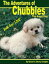 The Adventures of Chubbles the Angel Dog, Book One: