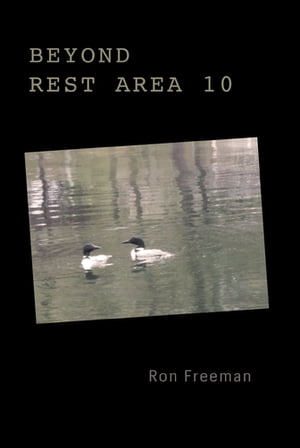 Beyond Rest Area 10Żҽҡ[ Ron Freeman ]