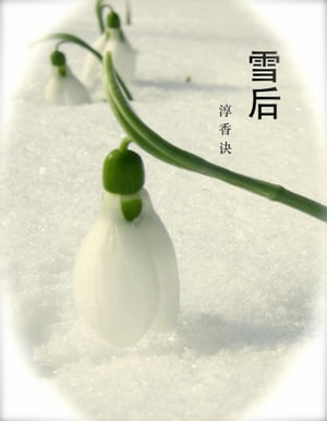 雪后