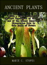 Ancient Plants : Being a Simple Account of the Past Vegetation of the Earth and ...