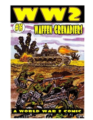 World War 2 Waffen Grenadiers