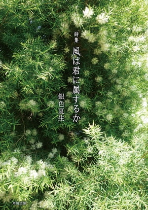 詩集　風は君に属するか【電子書籍】[ 銀色　夏生 ]