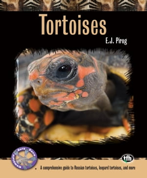 Tortoises