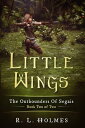 Little Wings The Outbounders of Segais - Book Tw