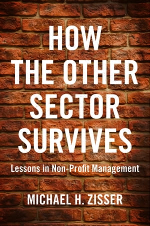 How The Other Sector Survives Lessons in Non-Pro