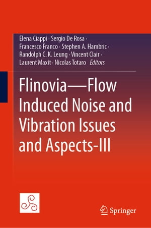 FlinoviaーFlow Induced Noise and Vibration Issues and Aspects-III