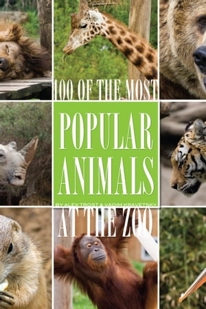 100 of the Most Popular Animals At the Zoo