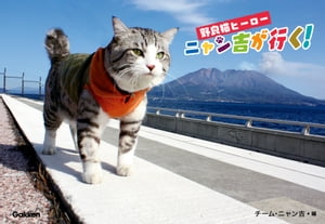 野良猫ヒーロー ニャン吉が行く！