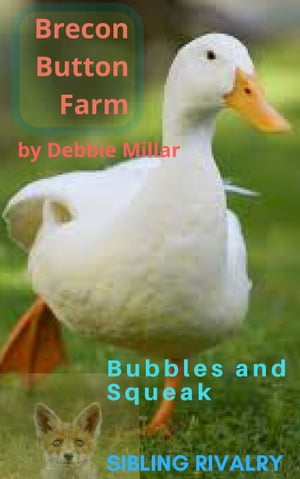 Brecon Button Farm【電子書籍】[ Debbie Millar ]