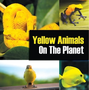 Yellow Animals On The Planet