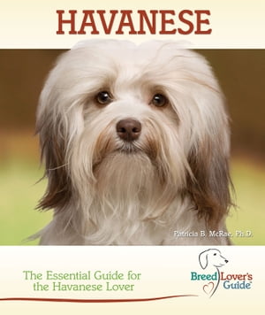 Havanese