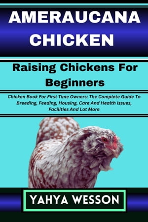 AMERAUCANA CHICKEN Raising Chickens For Beginners