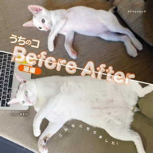 うちのコBefoe After猫編