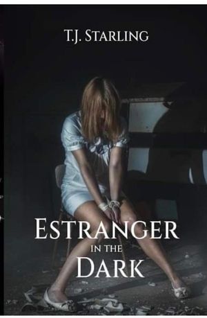ŷKoboŻҽҥȥ㤨Estranger in the Dark Detective Gerald McNeil Psychological Thriller, #1Żҽҡ[ T.J. Starling ]פβǤʤ450ߤˤʤޤ