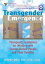Transgender Emergence Therapeutic Guidelines for Working with Gender-Variant People and Their FamiliesŻҽҡ[ Arlene Istar Lev ]