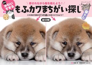 何ともかわいすぎる もふカワまちがい探し【電子書籍】[ 渡邉 修 ]
