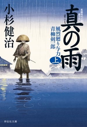 真の雨（上）