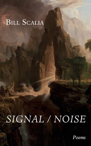 Signal / Noise