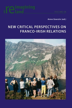 New Critical Perspectives on Franco-Irish Relations