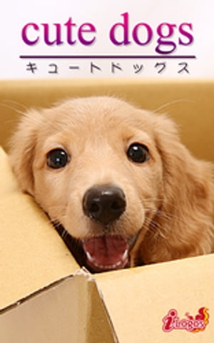 cute dogs24 ダックスフンド【電子書籍