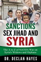 ŷKoboŻҽҥȥ㤨Sanctions, Sex Jihad and Syria: The A to Z of NATO's War on Syria's Widows and OrphansŻҽҡ[ Declan Hayes ]פβǤʤ106ߤˤʤޤ