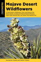 Mojave Desert Wildflowers A Field Guide to Wildflowers, Trees, and Shrubs of the...