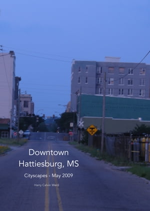 Downtown Hattiesburg, MS: Cityscapes May 2009