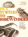 Sea Turtles to Sidewinders A Guide to the Most Fascinating Reptiles and Amphibians of the West【電子書籍】 Charles Hood