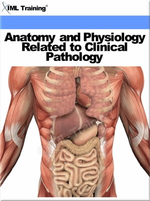 Anatomy and Physiology Related to Clinical Pathology (Human Body) Includes Introduction, Anatomy, Physiology, Pathology, Principles, Cells, Tissue, Transport, Processes, The Liver, Circulatory, Lymphatic, Gastrointestinal, Urinary, Nervo【電子書籍】