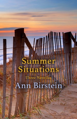 Summer Situations Three NovellasŻҽҡ[ Ann Birstein ]