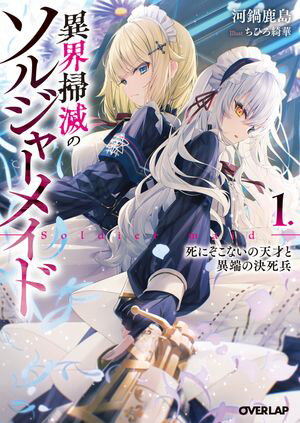 「異界掃滅のソルジャーメイド」シリーズ