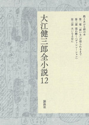 大江健三郎全小説　第１２巻