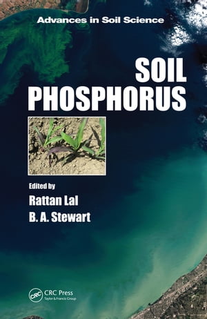 Soil Phosphorus