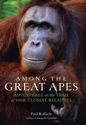 Among the Great Apes