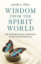 Wisdom From the Spirit World Life Teachings on Love, Forgiveness, Purpose and Fi...