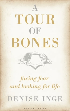 A Tour of Bones