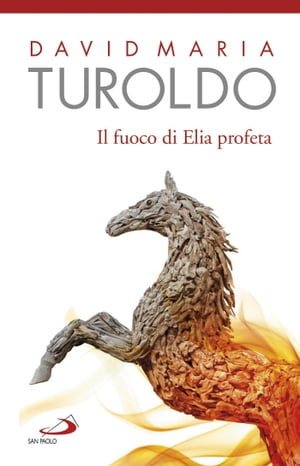 Il fuoco di Elia profeta. Omelie 1989-1990 - Testamento spirituale