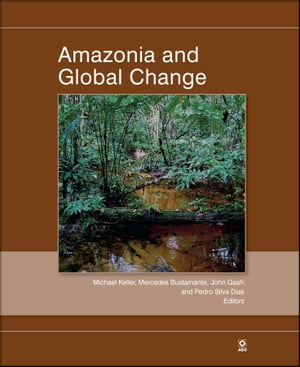 Amazonia and Global Change